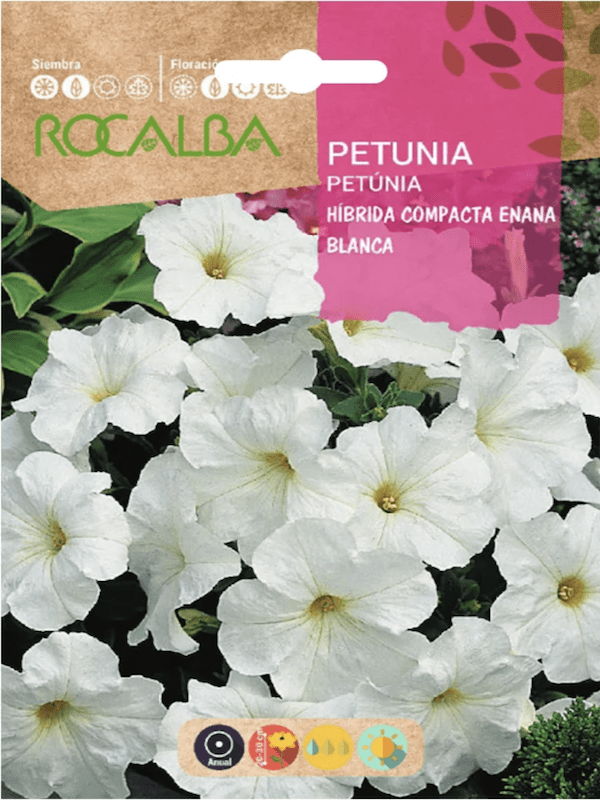 PETUNIA Híbrida Compacta Blanca1