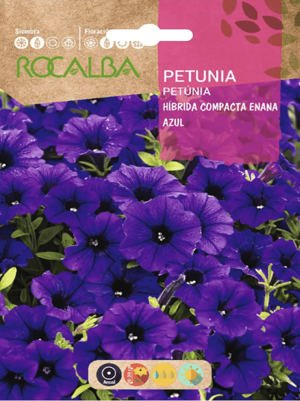 PETUNIA Híbrida Compacta Enana Azul1