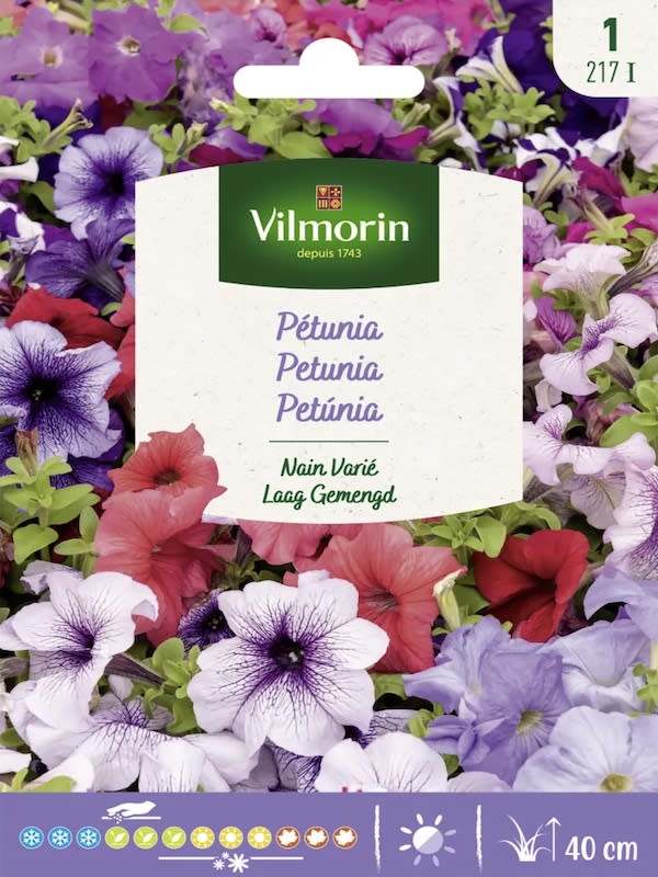 PETUNIA . COLORES VARIADOS (217 I )1