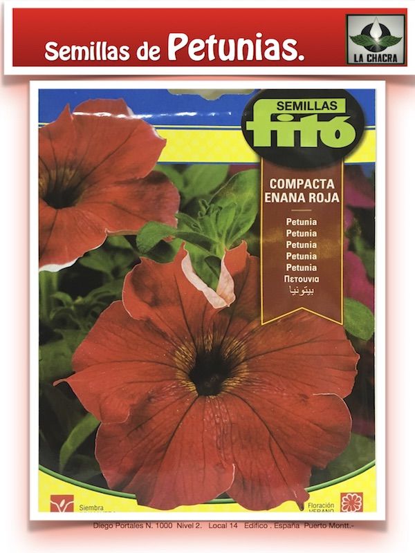 PETUNIA COMPACTA ENANA ROJA1
