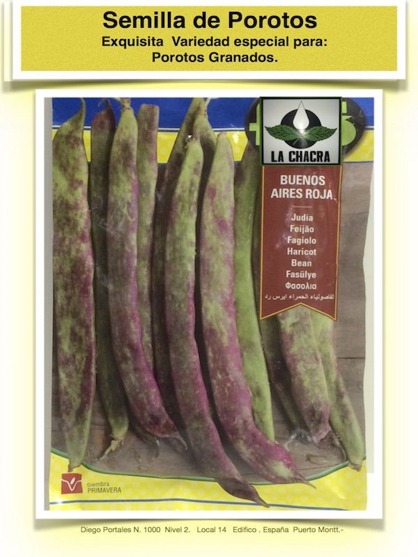 JUDIA BUENOS AIRES ROJA1