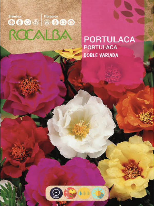 PORTULACA Rocalba DOBLE VARIADA1