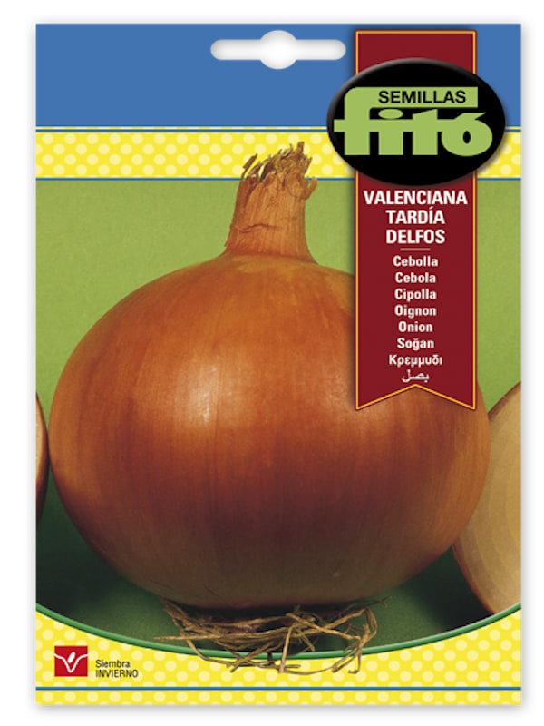CEBOLLA VALENCIANA TARDIA DELFOS1