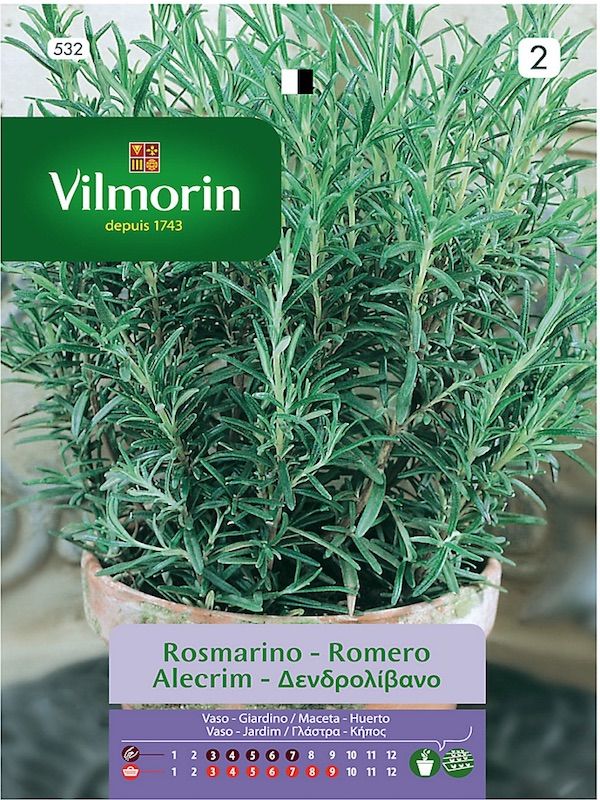 ROMERO1