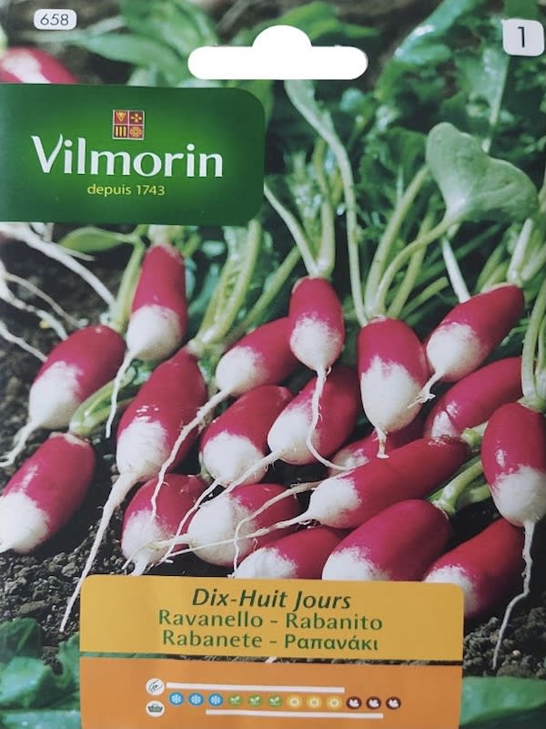 RABANITO LARGO 18 DÍAS1