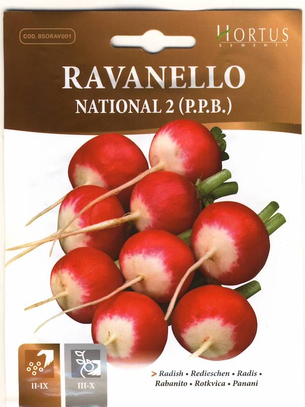 RÁBANO NATIONAL   10 Gramos1