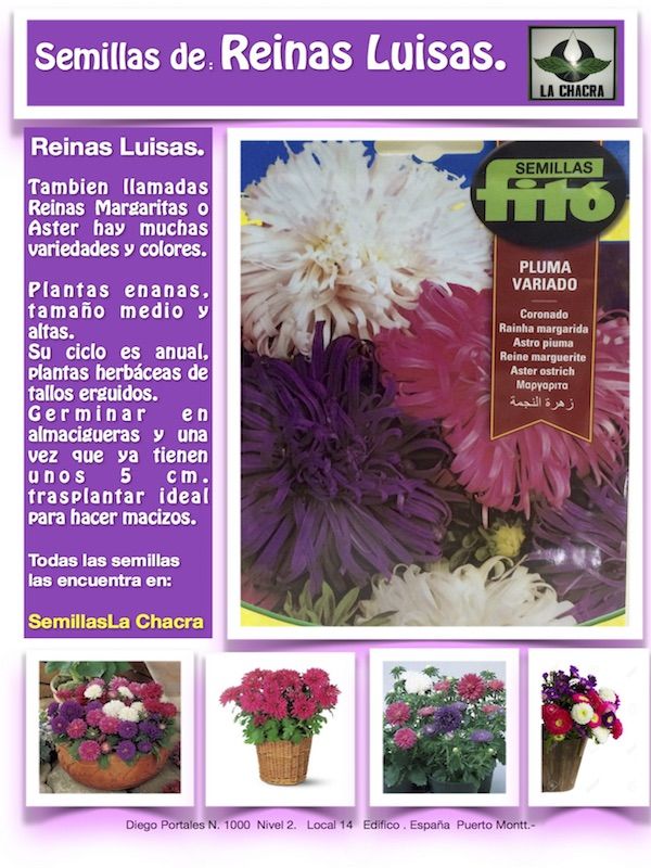 REINA LUISA CORONADO PLUMA VARIADO 2 GRAMOS.1