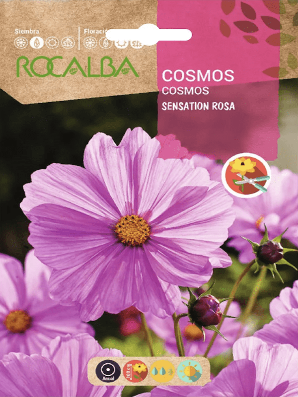 COSMOS Rosa1