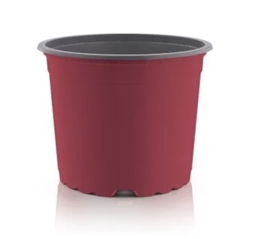 Maceteros Pequeños Termoformado. Color Rojo VCG-121