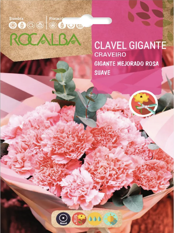 CLAVEL GIGANTE Mejorado Rosa suave1