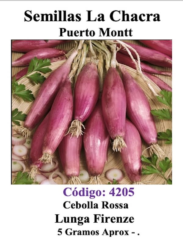 CEBOLLA Rossa Lunga  Fiorenze1