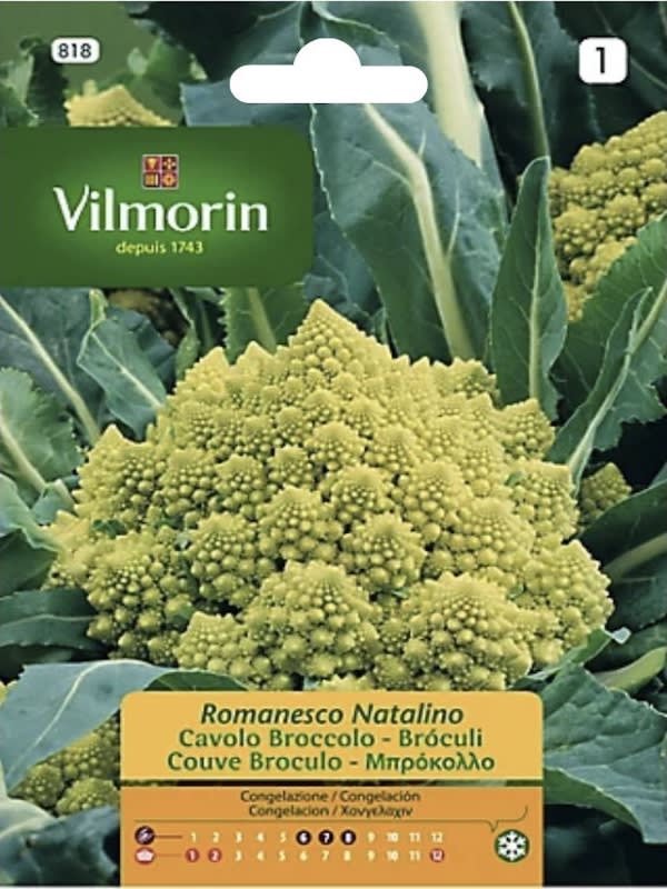 Romanesco (Vilmorin)1