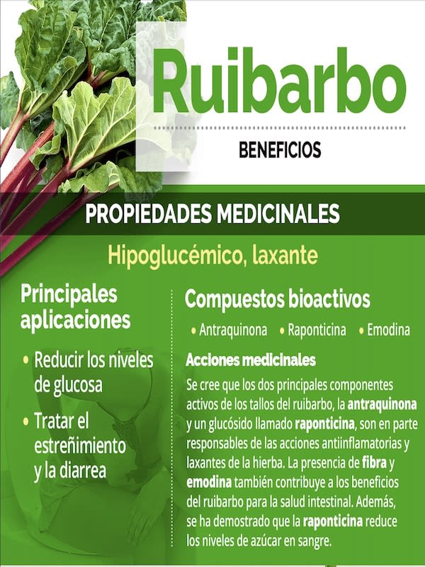 Ruibarbo, Semillas3