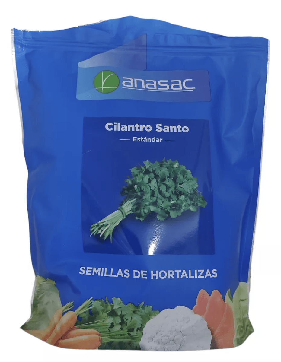 Cilantro Santo. Kilo1