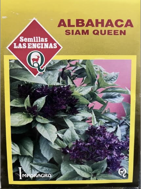 Albahaca Siam Queen. Sobre 1 Gramo1