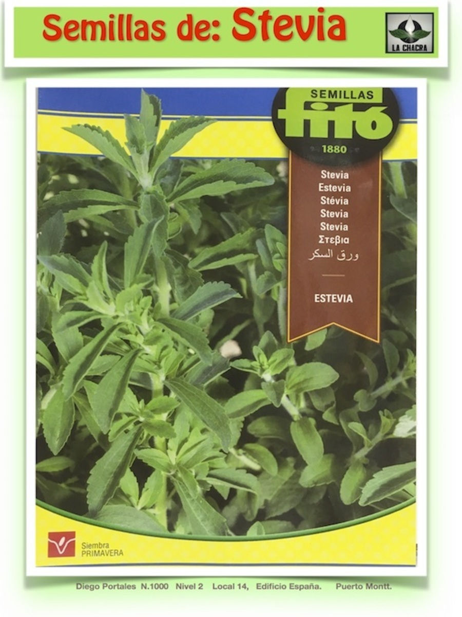 ESTEVIA ( 30 SEMILLAS)1