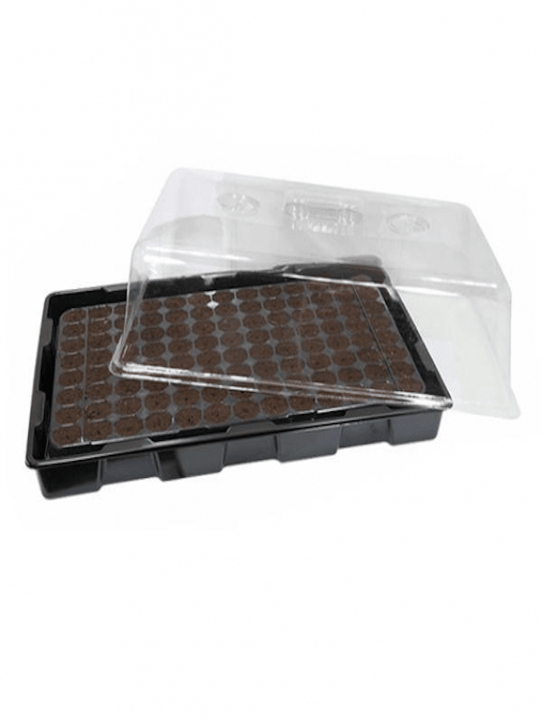 Tapa Cerrada Almaciguera3