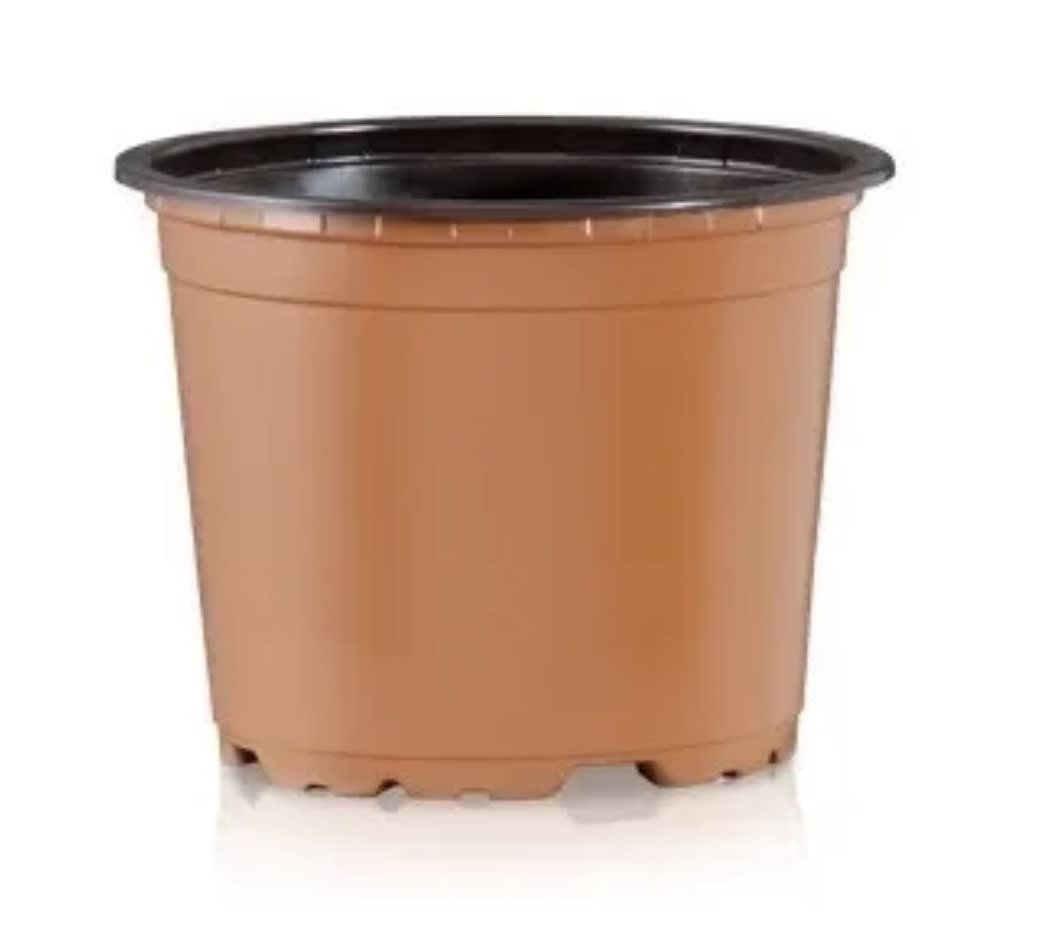 Maceteros Pequeños Termoformado. TERRACOTA VCG-121
