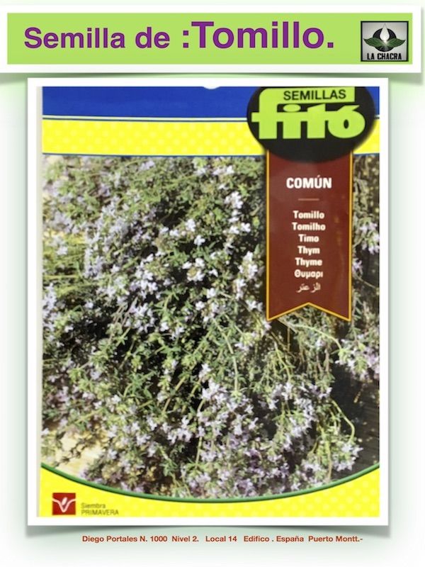 TOMILLO COMUN ( Fito )1