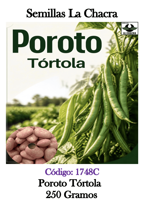 Poroto  Tórtola 250 Gramos1
