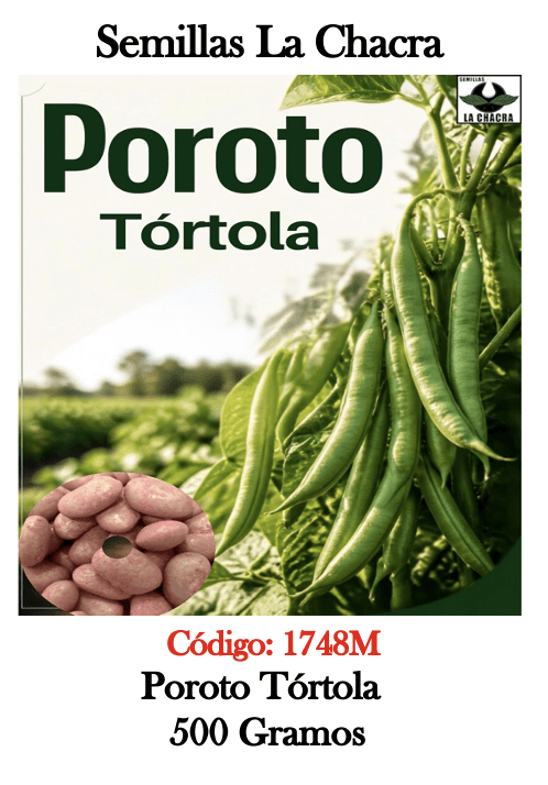 Poroto Tórtola. 500 Gramos1