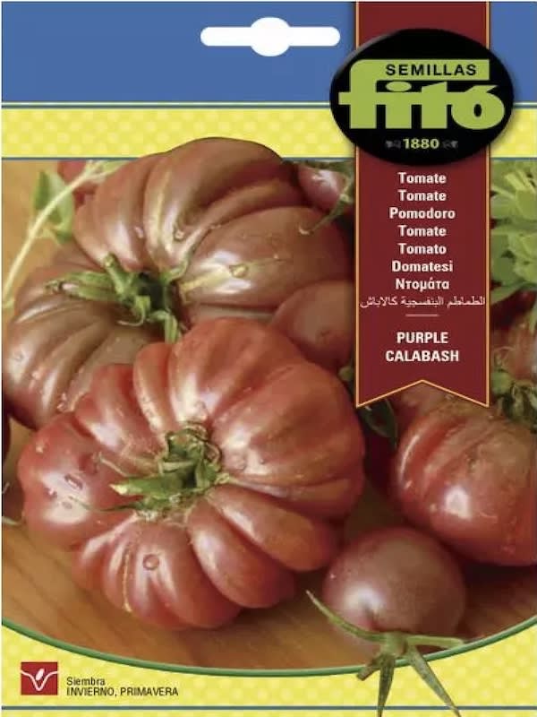 Tomate Purple Calabash1