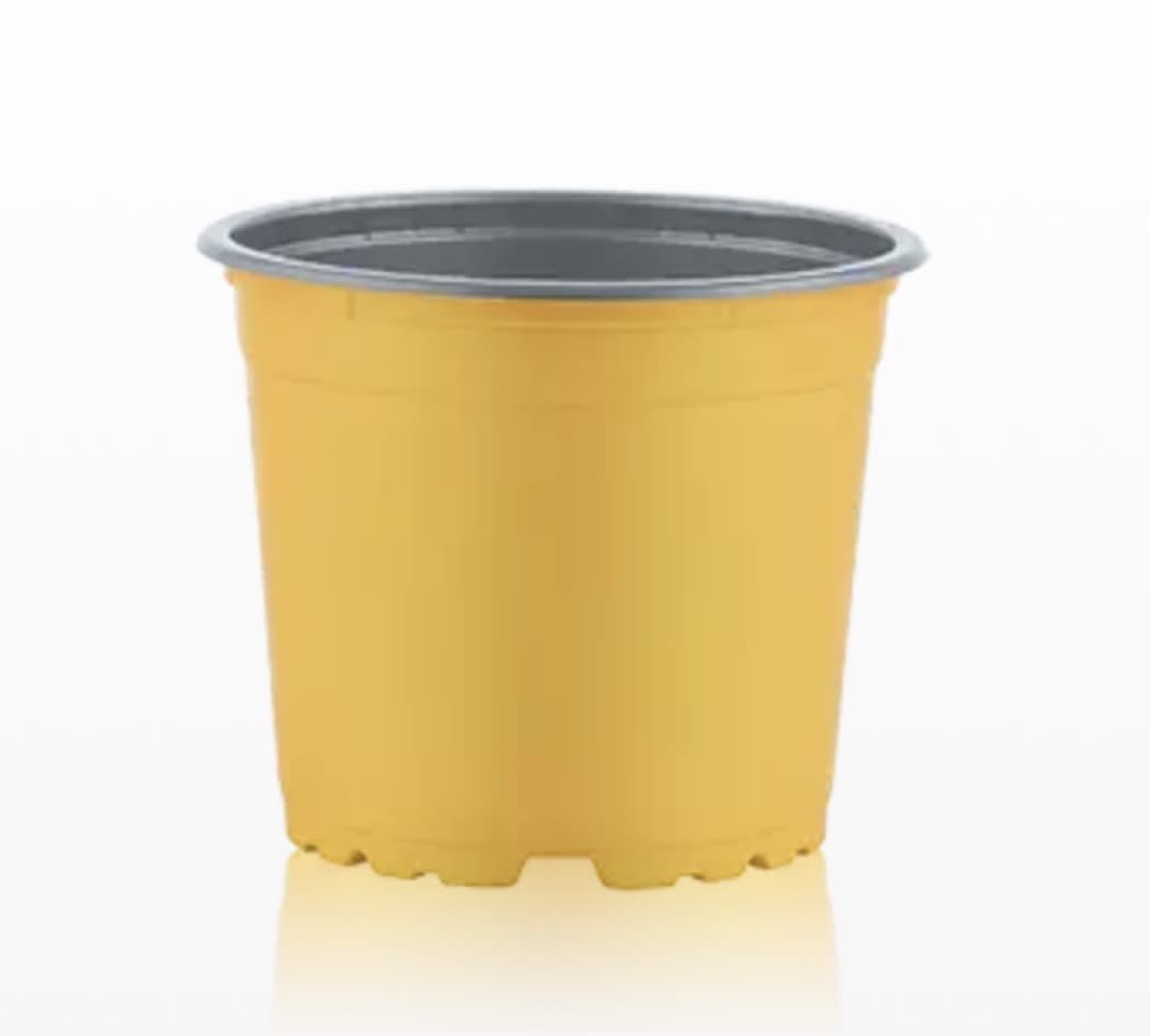 Maceteros Pequeños Termoformado Color: Amarillo VCG-131