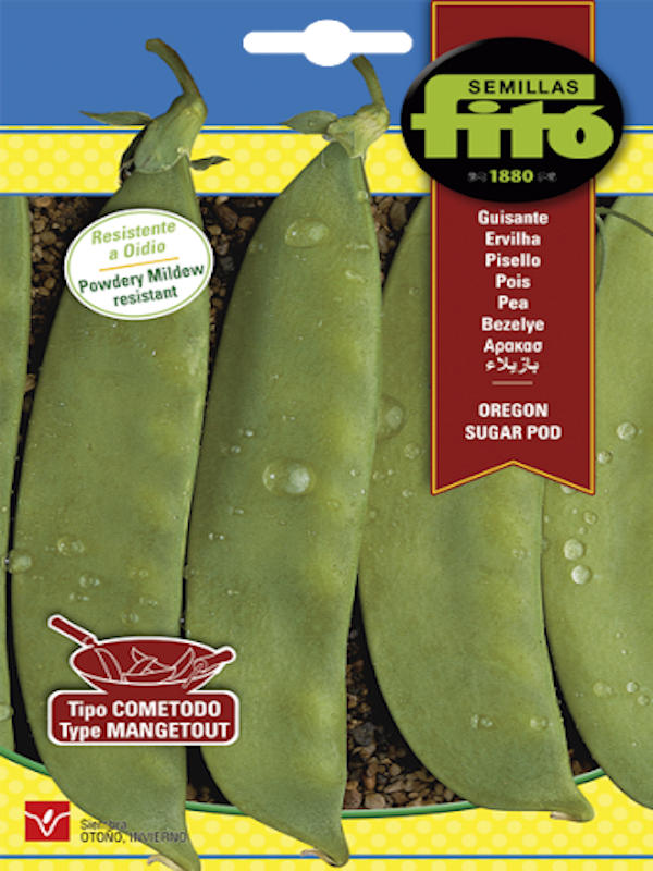 GUISANTE OREGON ( Sinhila)1
