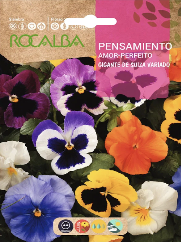 PENSAMIENTO Gigante de Suiza Colores Variados.1