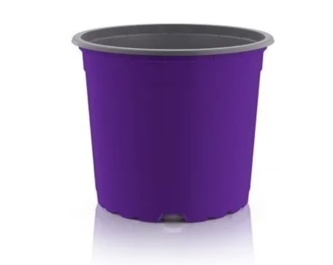 Maceteros Pequeños Termoformado Color: Morado VCG-91
