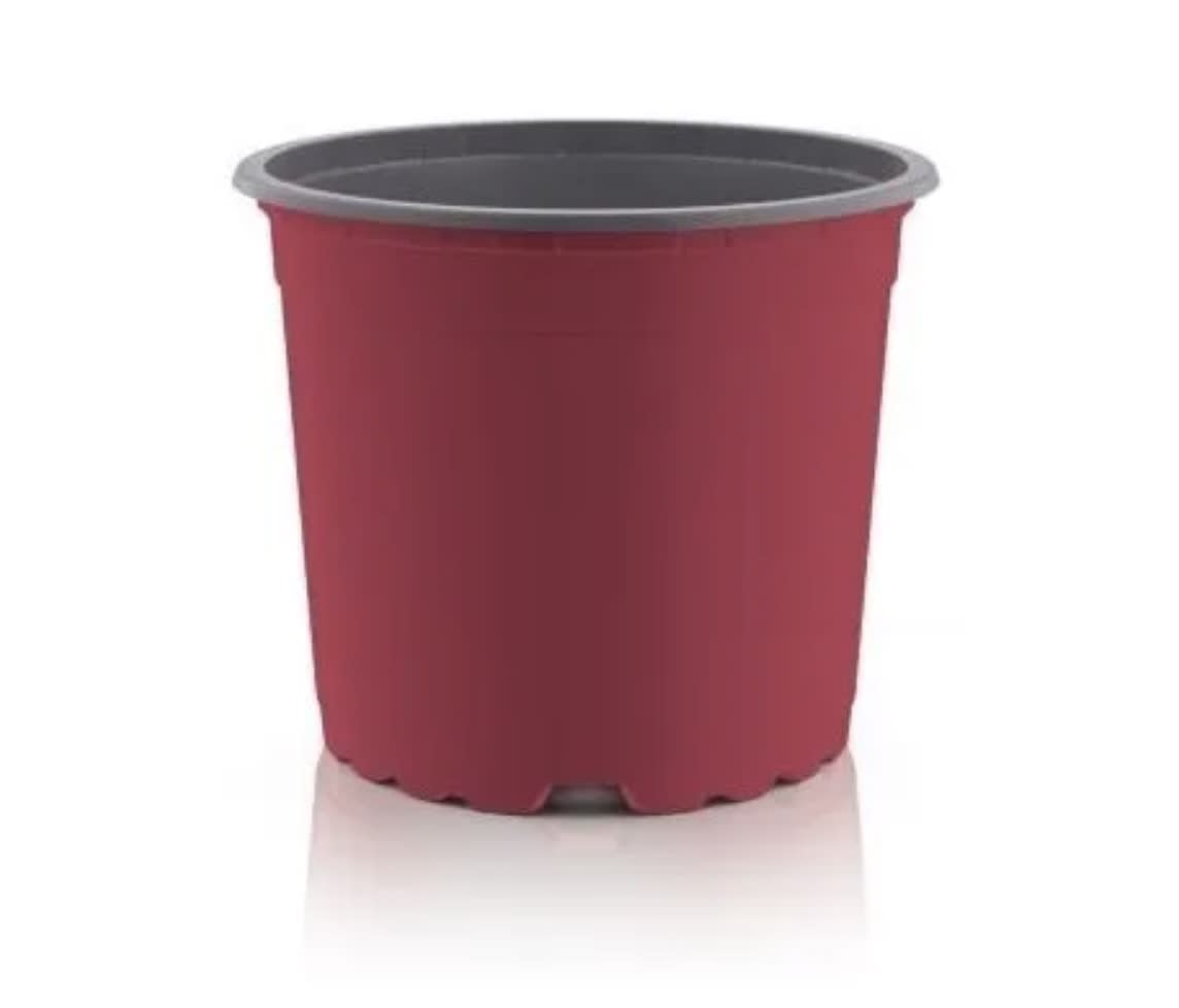 Maceteros Pequeños Termoformado Color: Rojo VCG-91