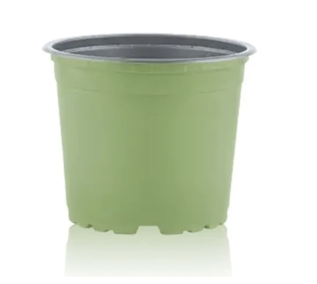 Maceteros Pequeños Termoformado Color: Verde Claro VCG-91