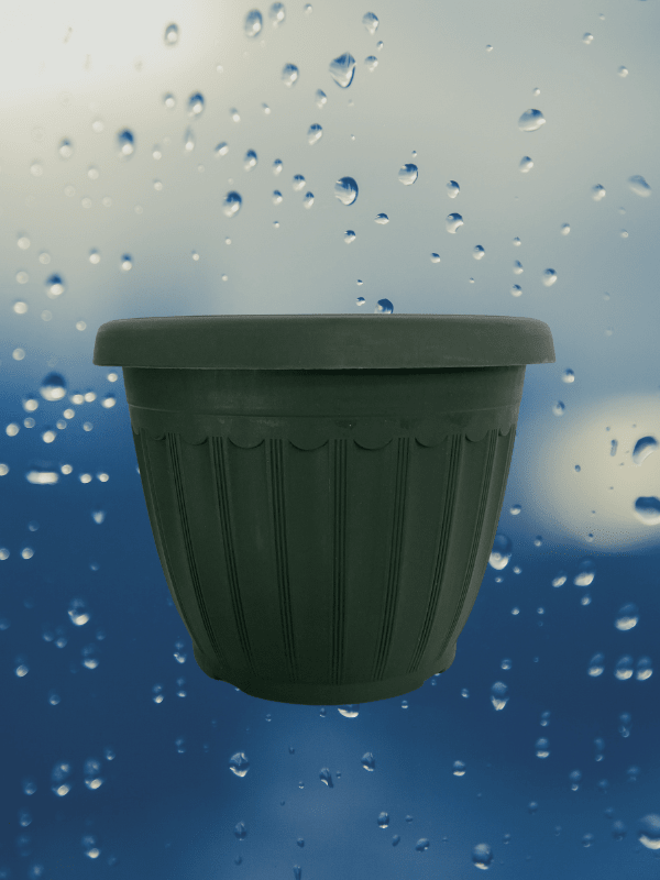 Maceteros  Color: Verde Redondo 20x15 CM1