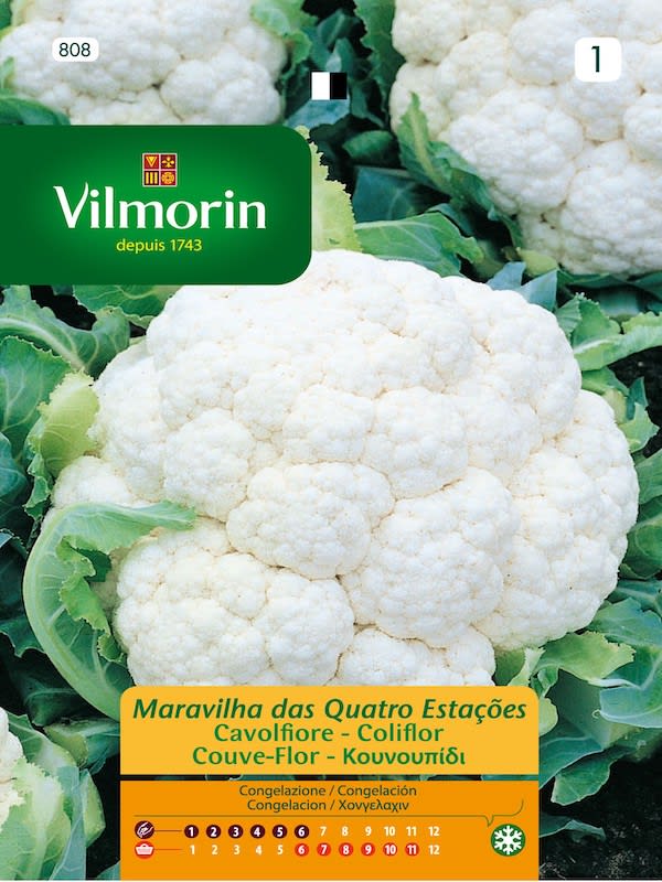 Coliflor Cuatro Estaciones (Vilmorin)1