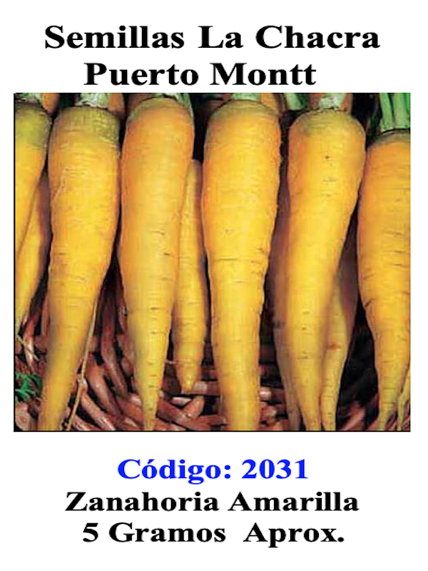 Zanahoria Amarilla.  Gourmet1