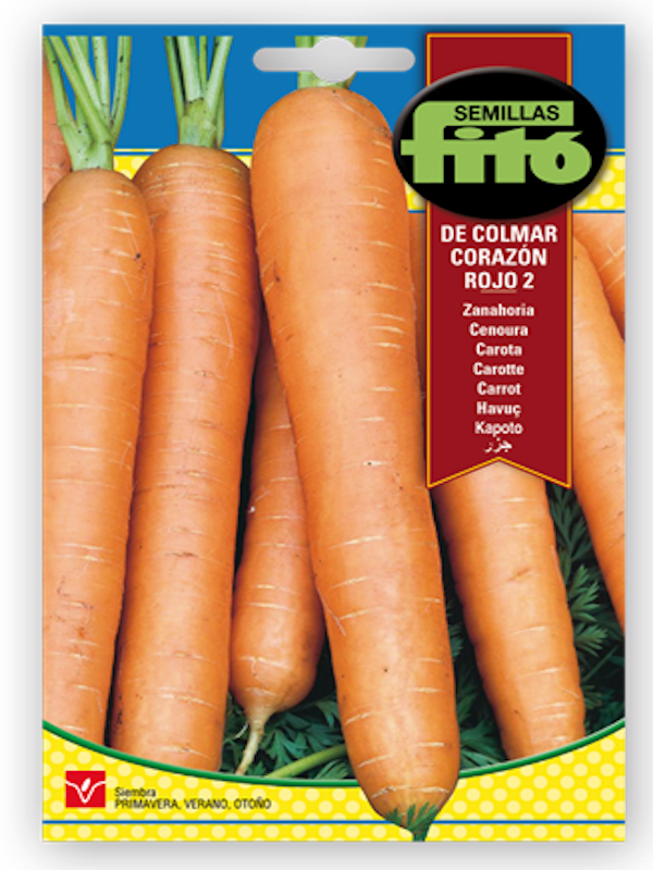 ZANAHORIA DE COLMAR1