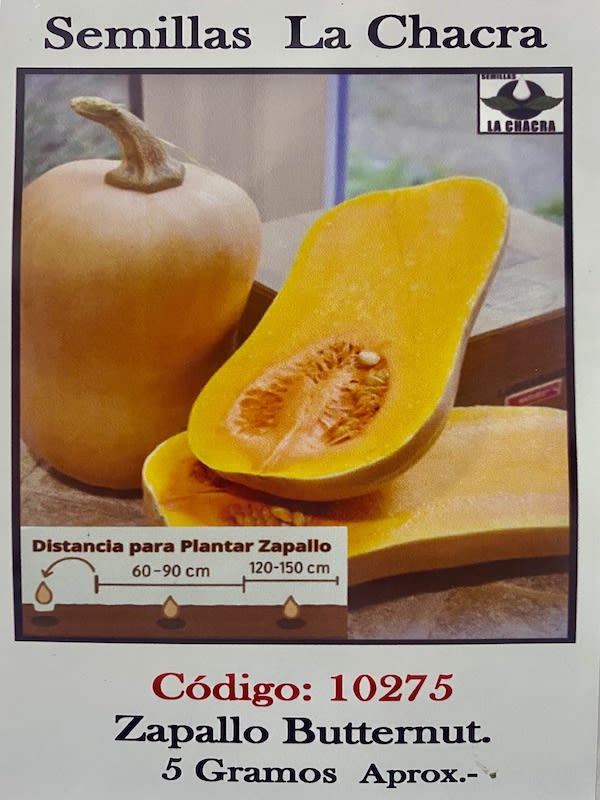 Zapallo Butternut1