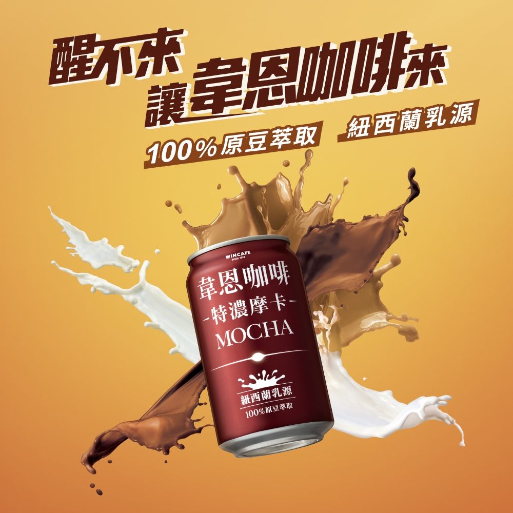 CAFE MOCHA 330ML2