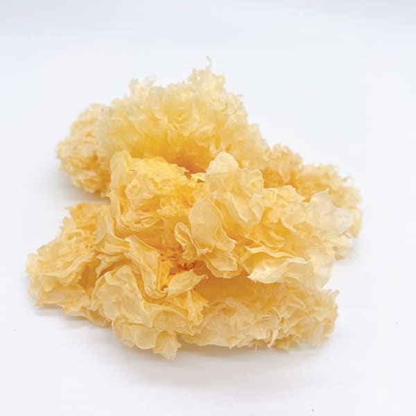 TREMELLA BLANCA 300g2