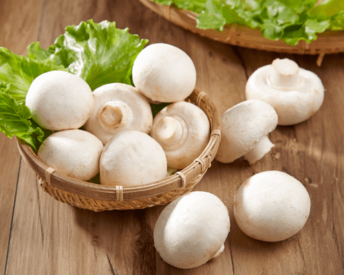 CHAMPIÑONES EN CONSERVA 425 GRS1