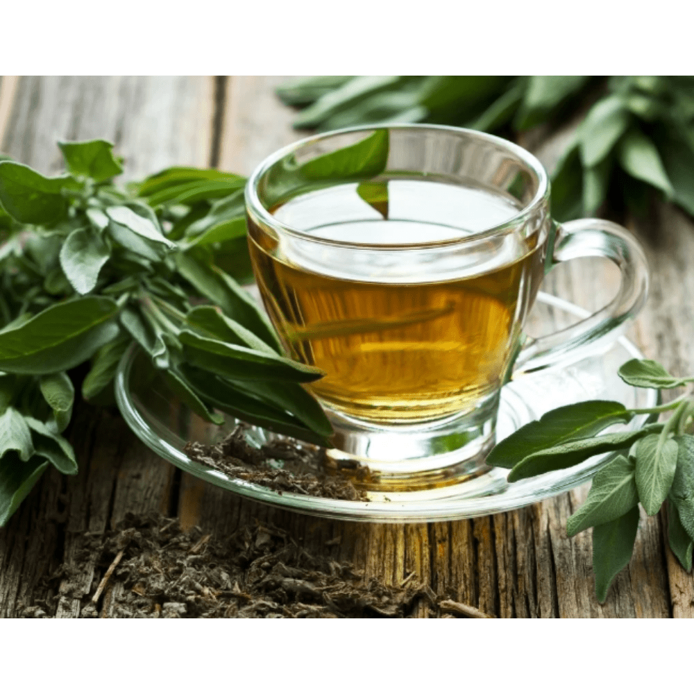 TE VERDE ORGANICO 100GR2