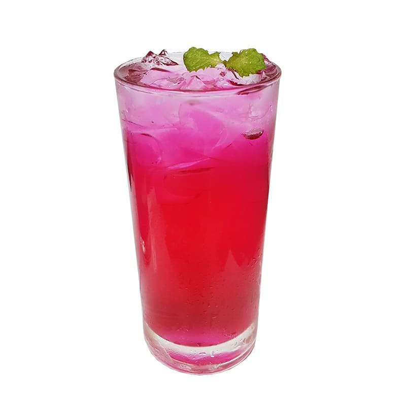 SYRUP CONCENTRADO DE FRUTA DE DRAGON 2.5KG2