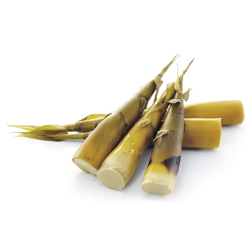 BROTES DE BAMBO 350GR3