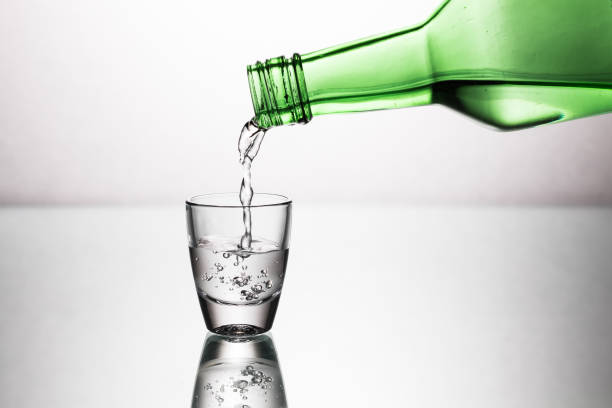 SOJU CHILE SABOR ARANDANO DULCE 360ML2