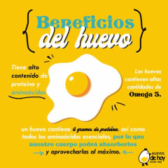 BENEFICIOS NUTRICIONALES DEL HUEVO