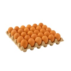 BANDEJA JUMBO COLOR X20