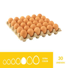 BANDEJA EXTRA COLOR X30