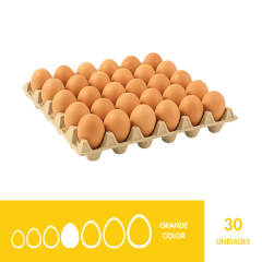 BANDEJA GRANDE COLOR X30