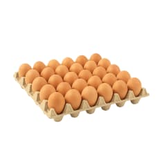 BANDEJA JUMBO COLOR X30