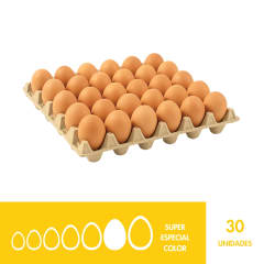 BANDEJA SUPER ESPECIAL COLOR X30